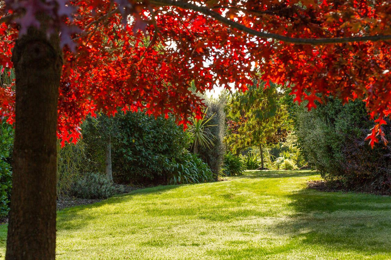 Accent House Luxury Boutique Bed & Breakfast Mapua Eksteriør bilde